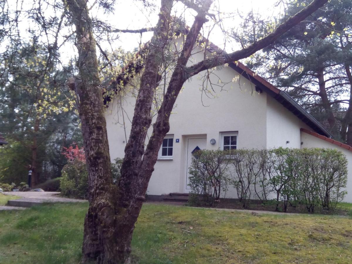 Lenzer Parkblick Am Plauer See Dış mekan fotoğraf