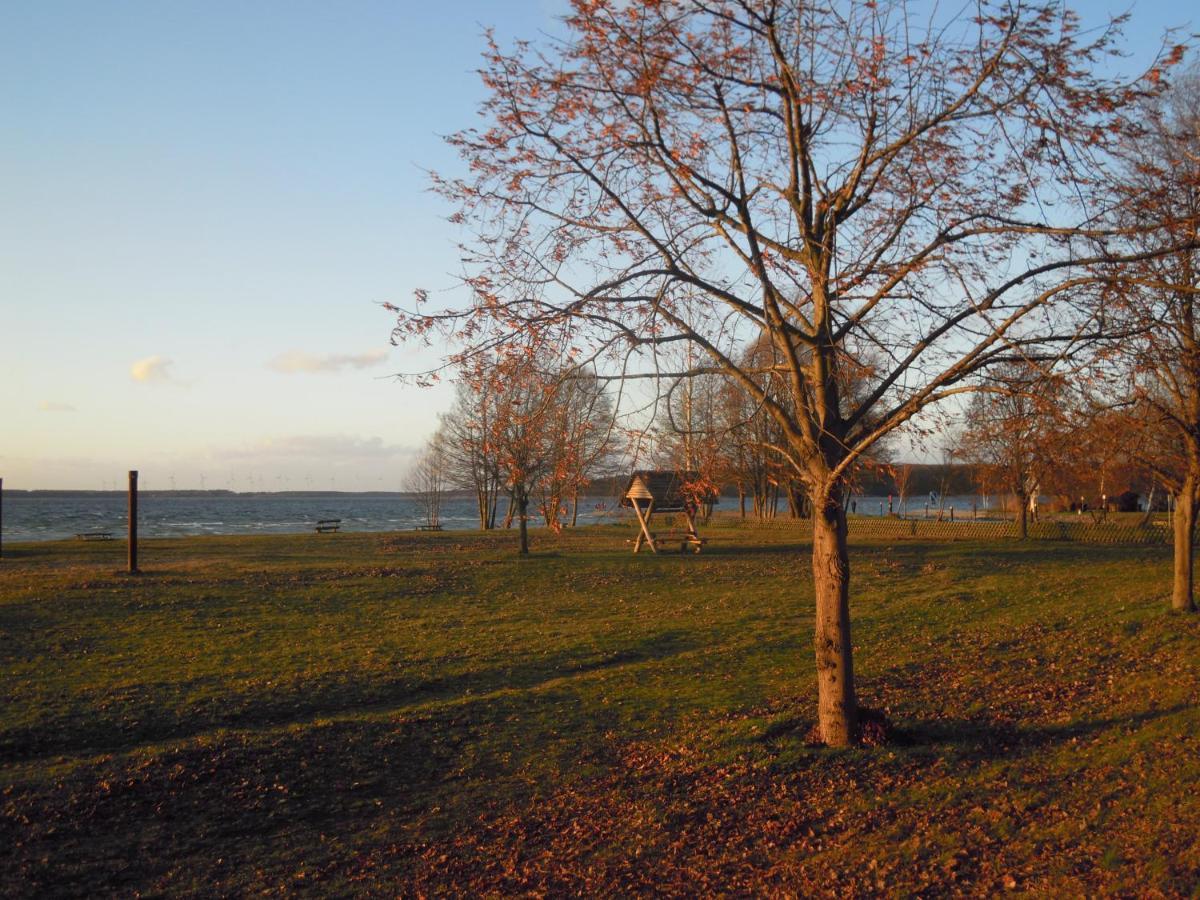 Lenzer Parkblick Am Plauer See Dış mekan fotoğraf